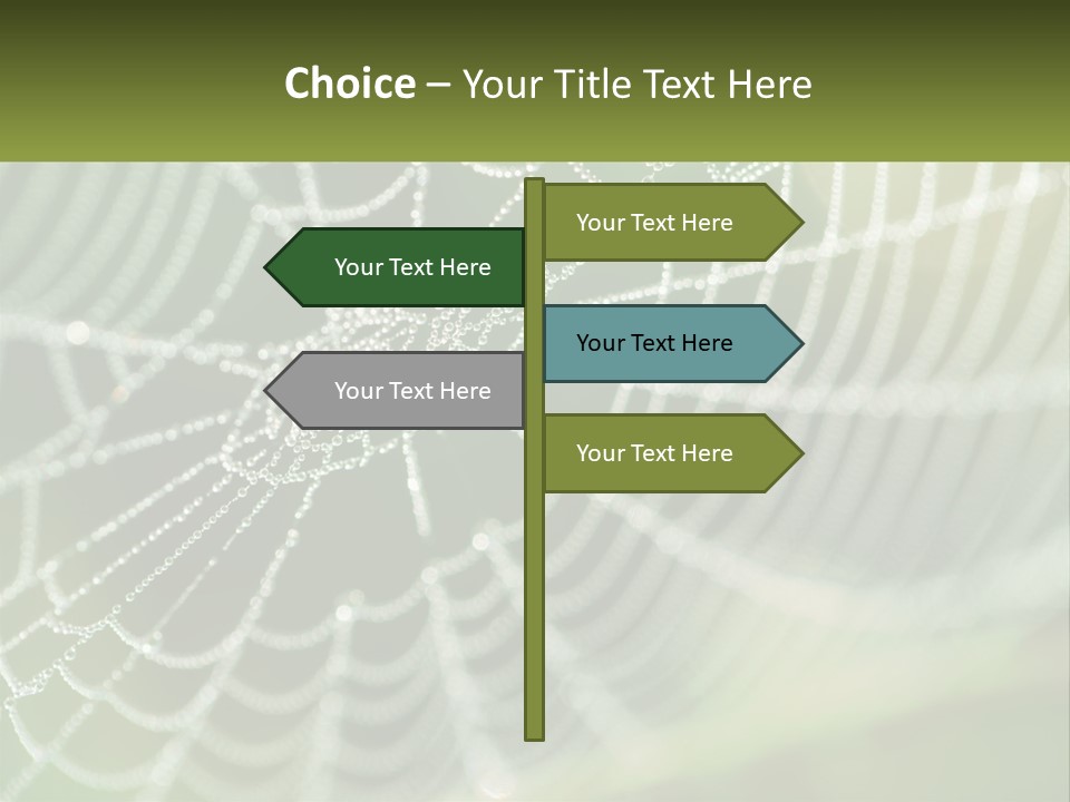 A Spider Web With Dew Drops On It PowerPoint Template