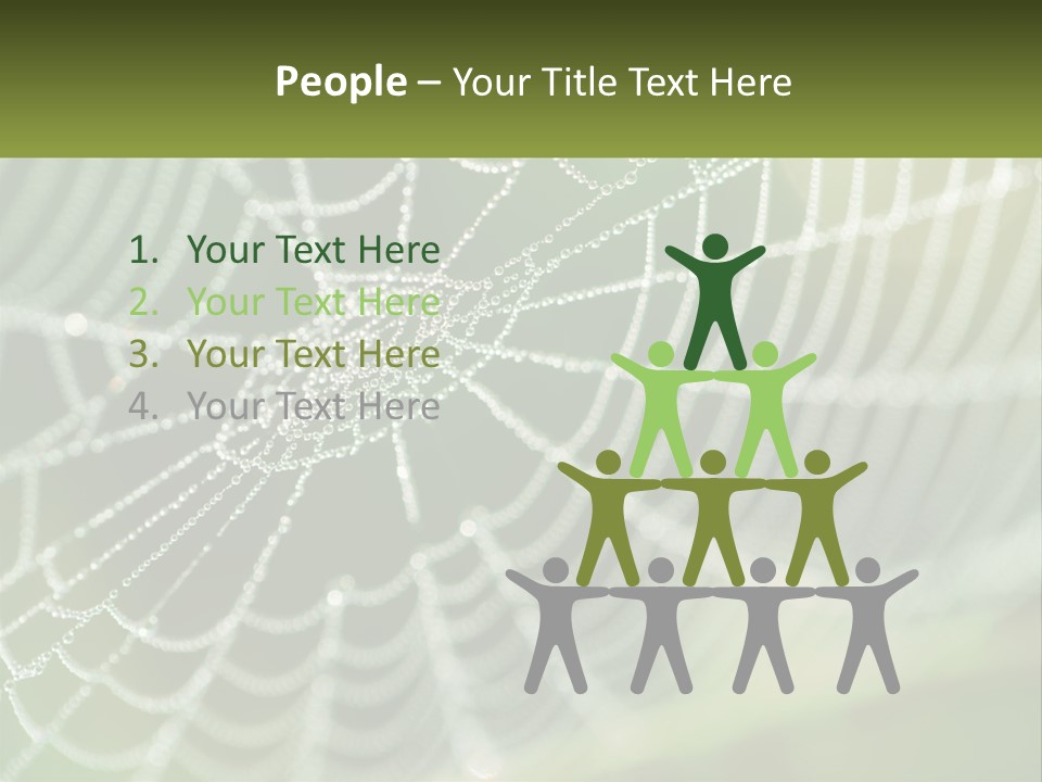 A Spider Web With Dew Drops On It PowerPoint Template