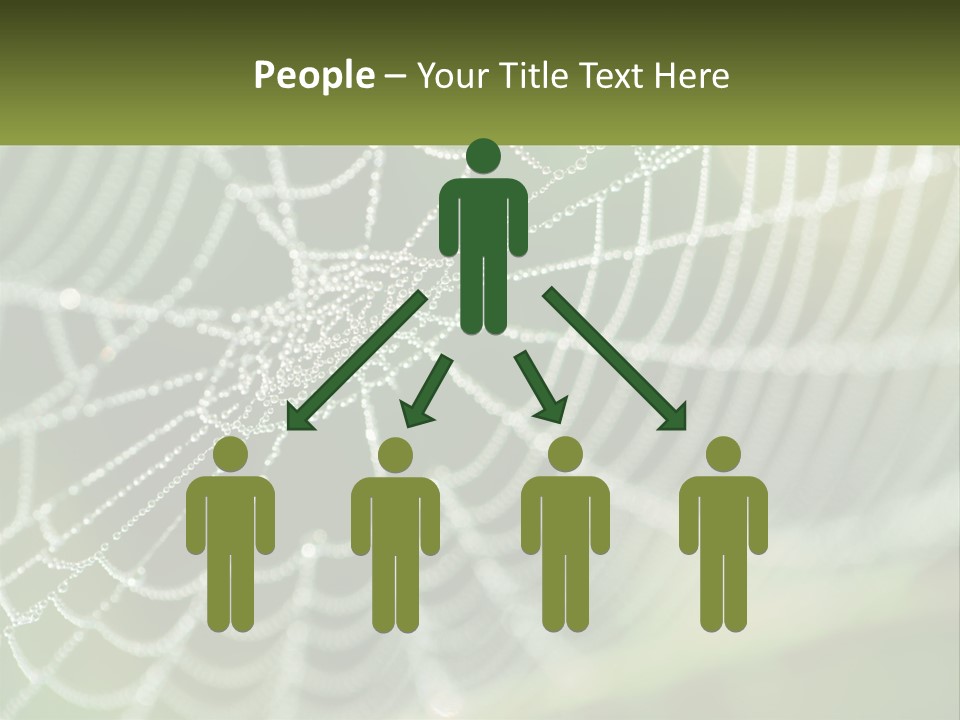 A Spider Web With Dew Drops On It PowerPoint Template