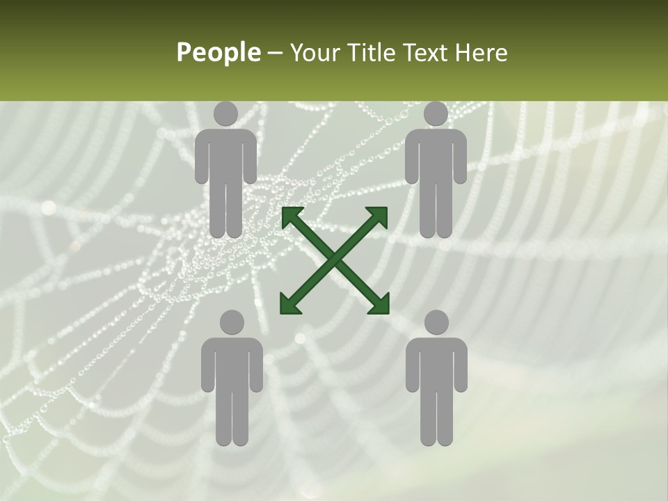 A Spider Web With Dew Drops On It PowerPoint Template
