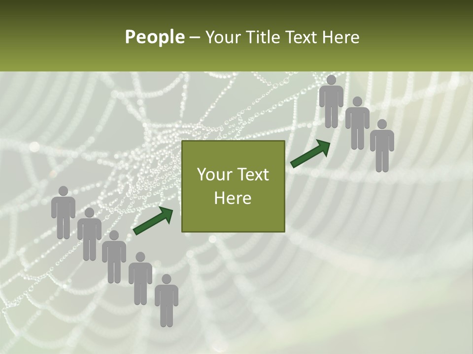 A Spider Web With Dew Drops On It PowerPoint Template