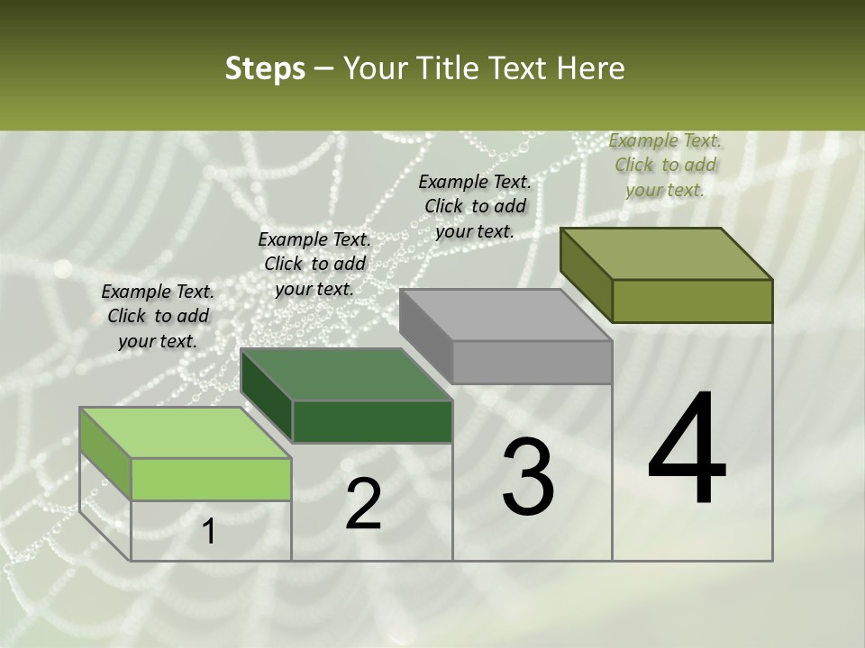 A Spider Web With Dew Drops On It PowerPoint Template