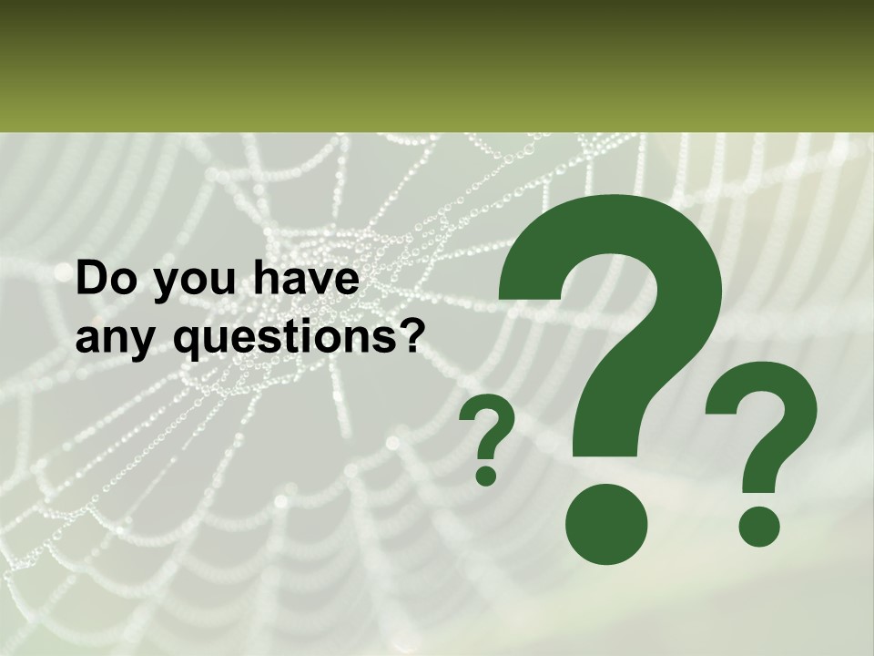 A Spider Web With Dew Drops On It PowerPoint Template