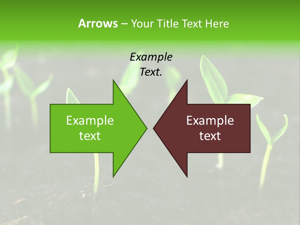 A Group Of Small Green Plants Growing In Dirt PowerPoint Template