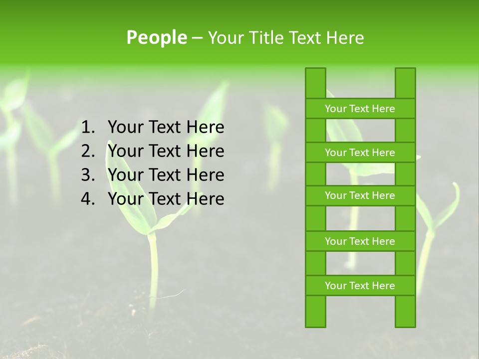 A Group Of Small Green Plants Growing In Dirt PowerPoint Template