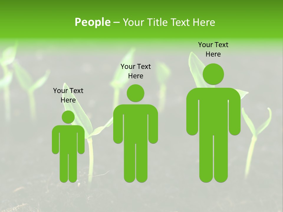 A Group Of Small Green Plants Growing In Dirt PowerPoint Template