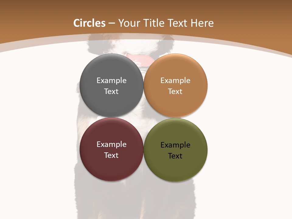 A Black And White Dog Sitting On A Brown And White Background PowerPoint Template