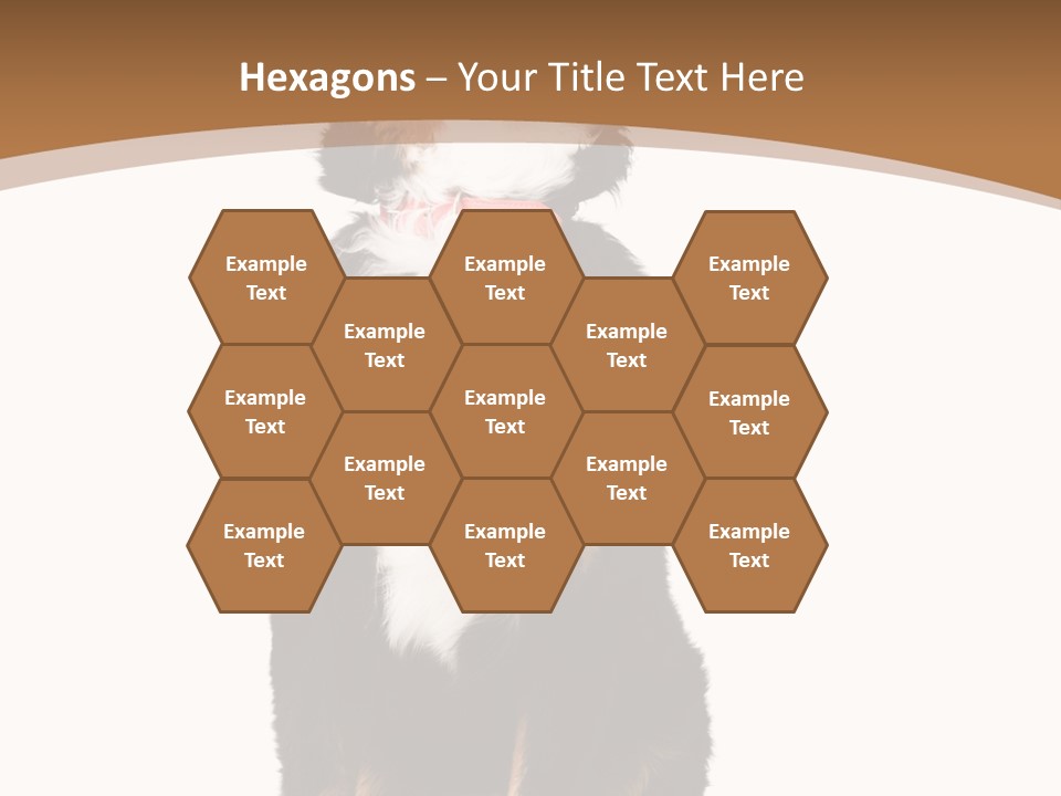 A Black And White Dog Sitting On A Brown And White Background PowerPoint Template