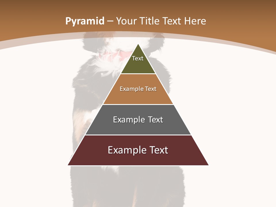 A Black And White Dog Sitting On A Brown And White Background PowerPoint Template