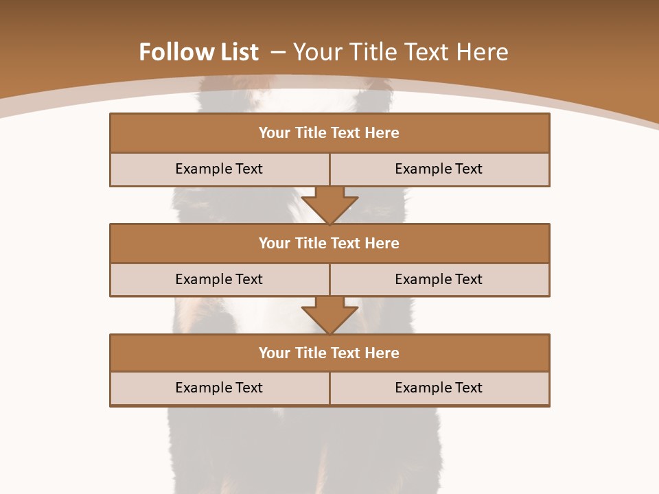 A Black And White Dog Sitting On A Brown And White Background PowerPoint Template