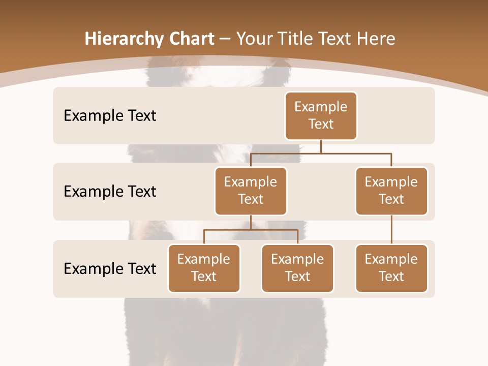 A Black And White Dog Sitting On A Brown And White Background PowerPoint Template