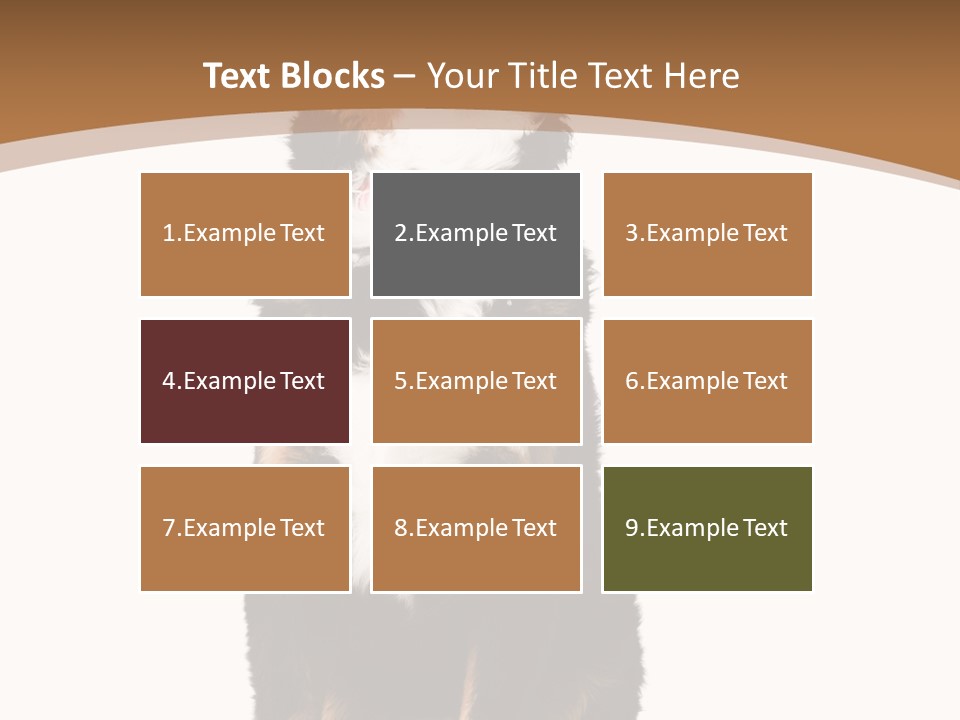 A Black And White Dog Sitting On A Brown And White Background PowerPoint Template