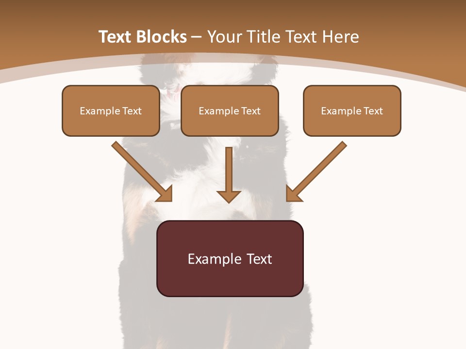 A Black And White Dog Sitting On A Brown And White Background PowerPoint Template