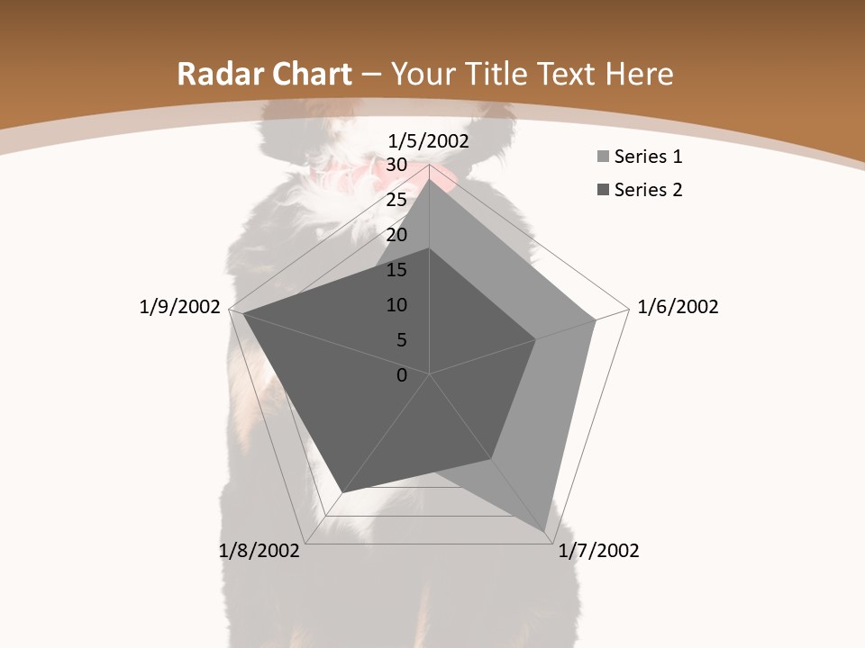 A Black And White Dog Sitting On A Brown And White Background PowerPoint Template