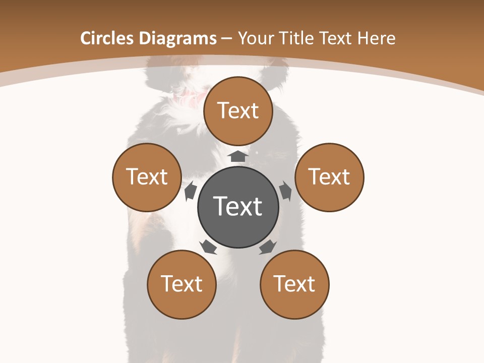 A Black And White Dog Sitting On A Brown And White Background PowerPoint Template