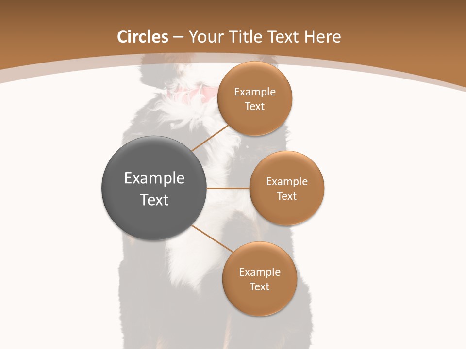 A Black And White Dog Sitting On A Brown And White Background PowerPoint Template