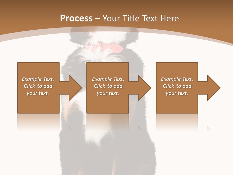 A Black And White Dog Sitting On A Brown And White Background PowerPoint Template