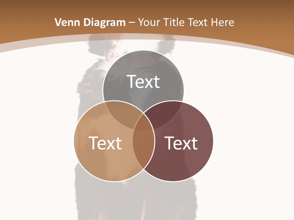 A Black And White Dog Sitting On A Brown And White Background PowerPoint Template