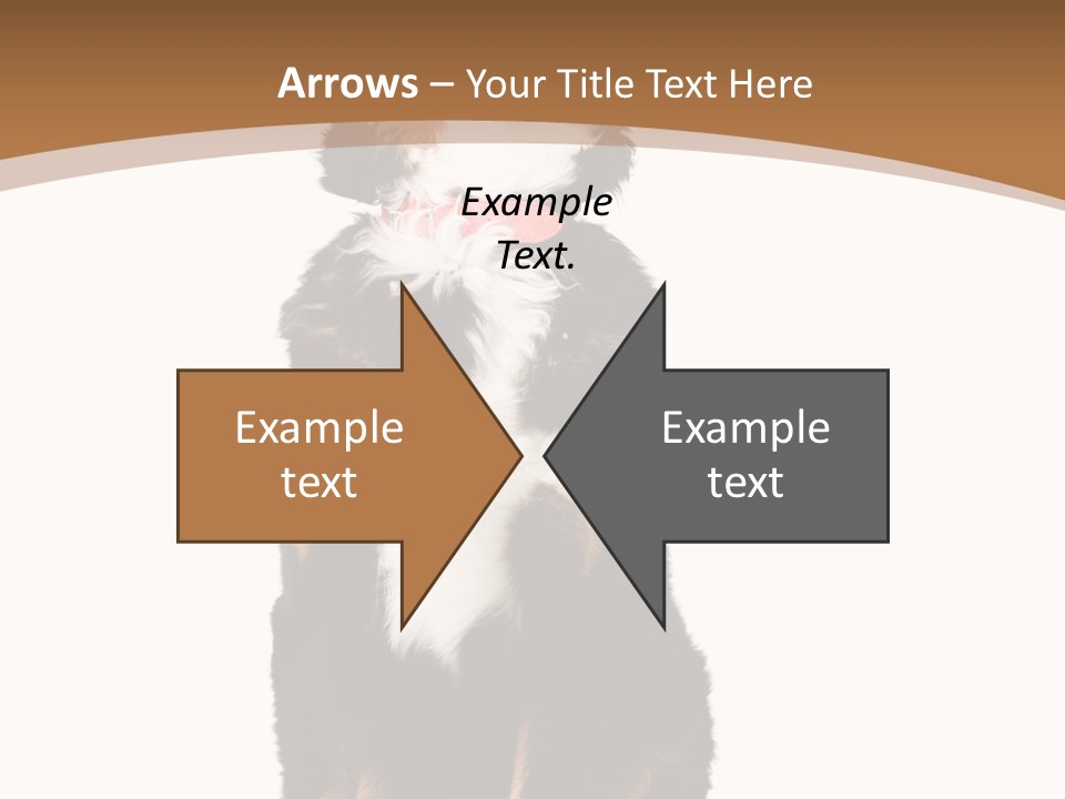 A Black And White Dog Sitting On A Brown And White Background PowerPoint Template