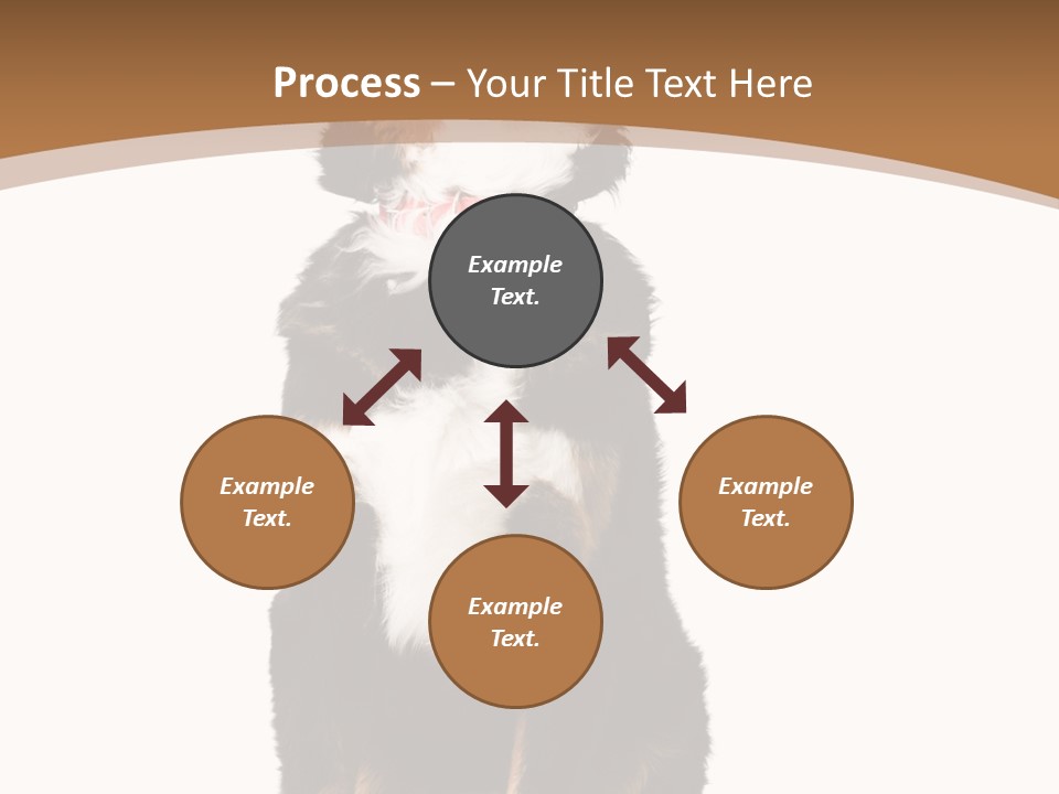 A Black And White Dog Sitting On A Brown And White Background PowerPoint Template