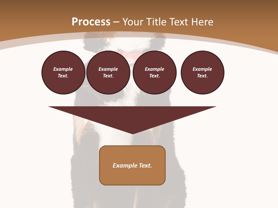 A Black And White Dog Sitting On A Brown And White Background PowerPoint Template