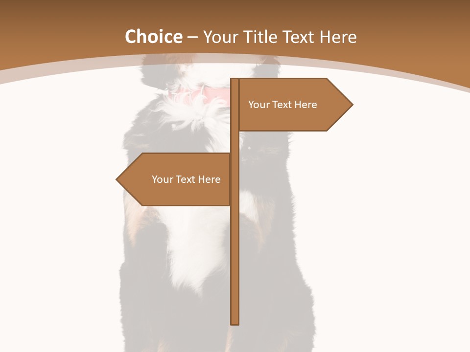 A Black And White Dog Sitting On A Brown And White Background PowerPoint Template