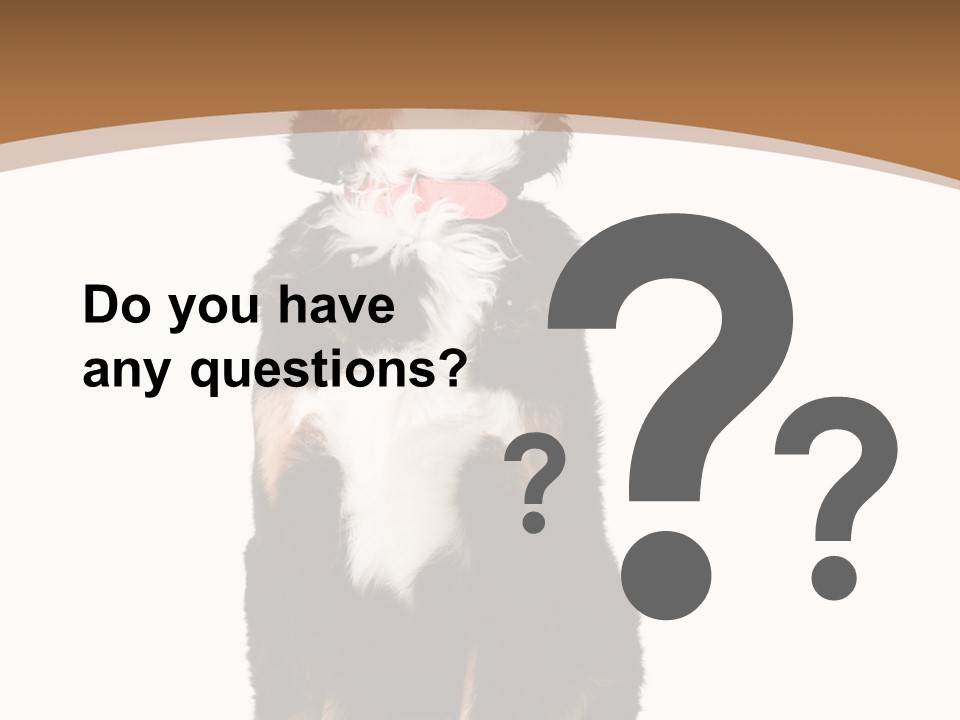 A Black And White Dog Sitting On A Brown And White Background PowerPoint Template