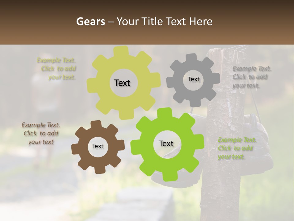 A Pair Of Shoes Hanging From A Tree Trunk PowerPoint Template