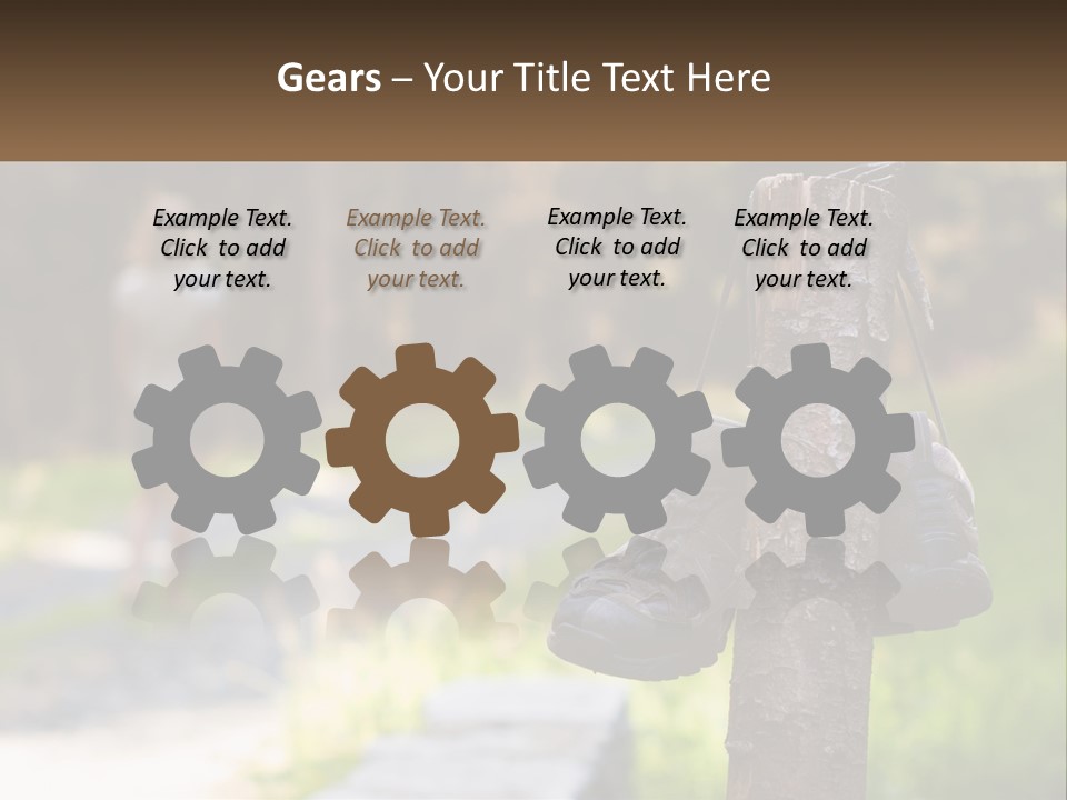 A Pair Of Shoes Hanging From A Tree Trunk PowerPoint Template