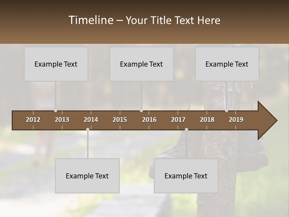 A Pair Of Shoes Hanging From A Tree Trunk PowerPoint Template
