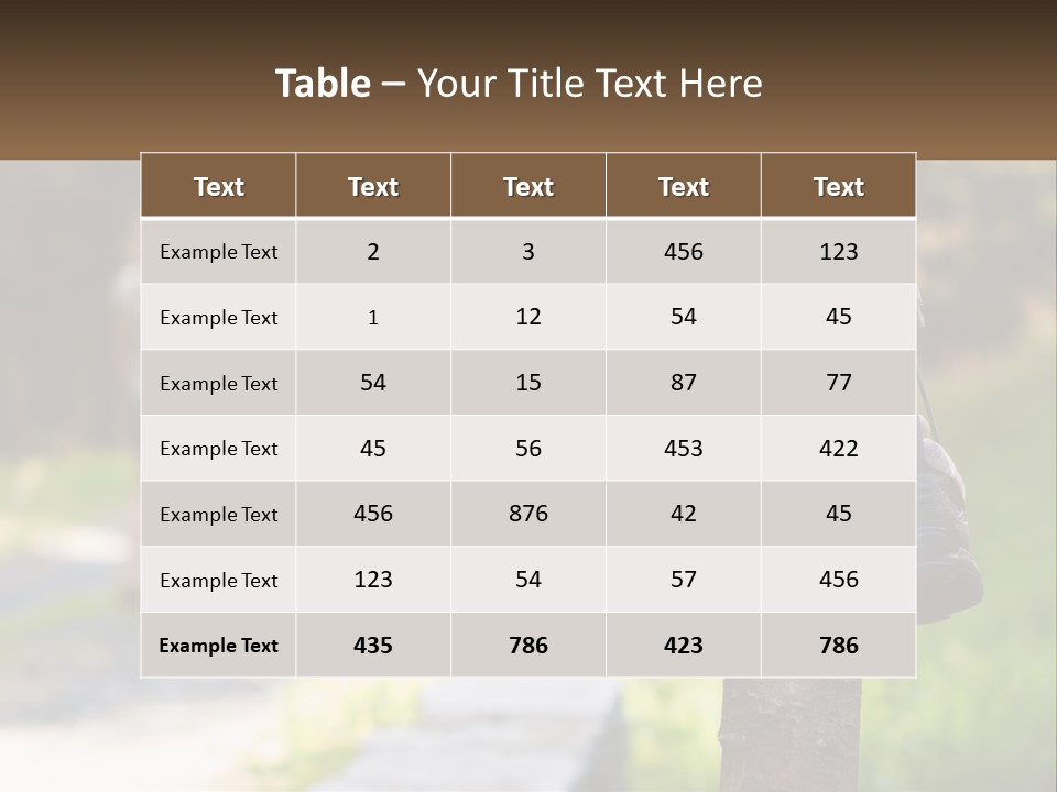 A Pair Of Shoes Hanging From A Tree Trunk PowerPoint Template