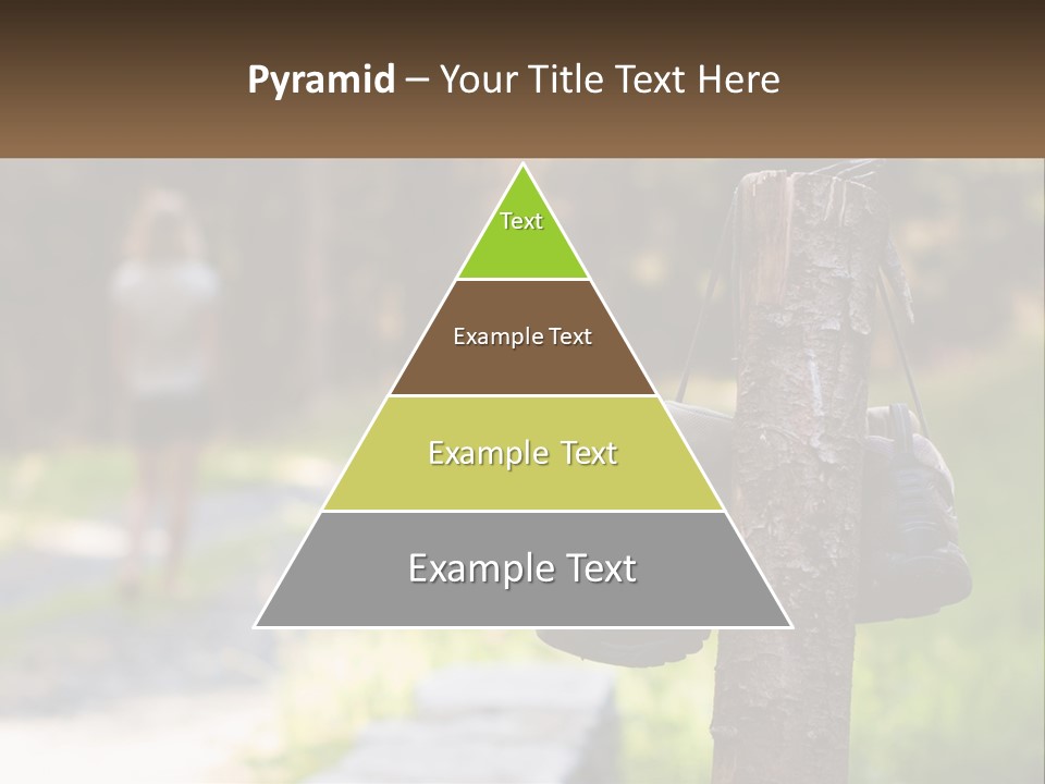 A Pair Of Shoes Hanging From A Tree Trunk PowerPoint Template