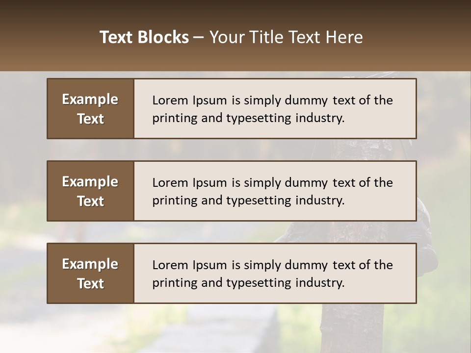 A Pair Of Shoes Hanging From A Tree Trunk PowerPoint Template