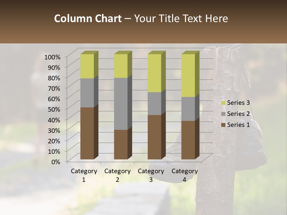 A Pair Of Shoes Hanging From A Tree Trunk PowerPoint Template