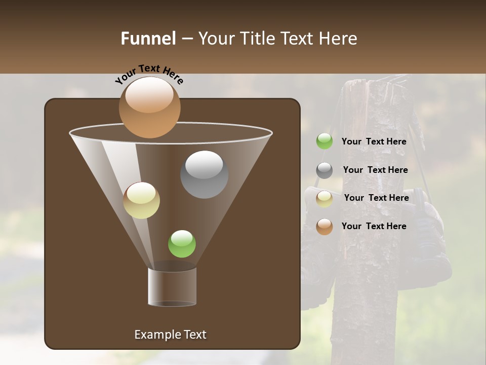 A Pair Of Shoes Hanging From A Tree Trunk PowerPoint Template