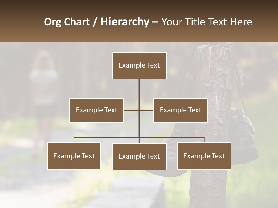 A Pair Of Shoes Hanging From A Tree Trunk PowerPoint Template