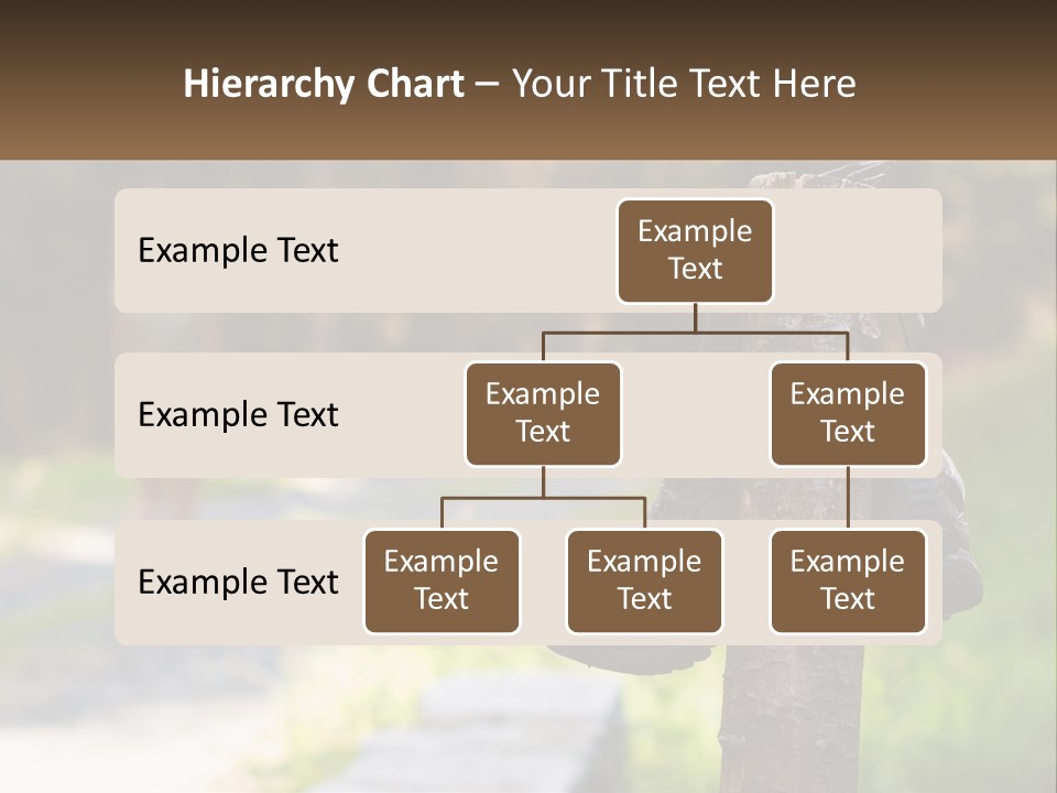 A Pair Of Shoes Hanging From A Tree Trunk PowerPoint Template