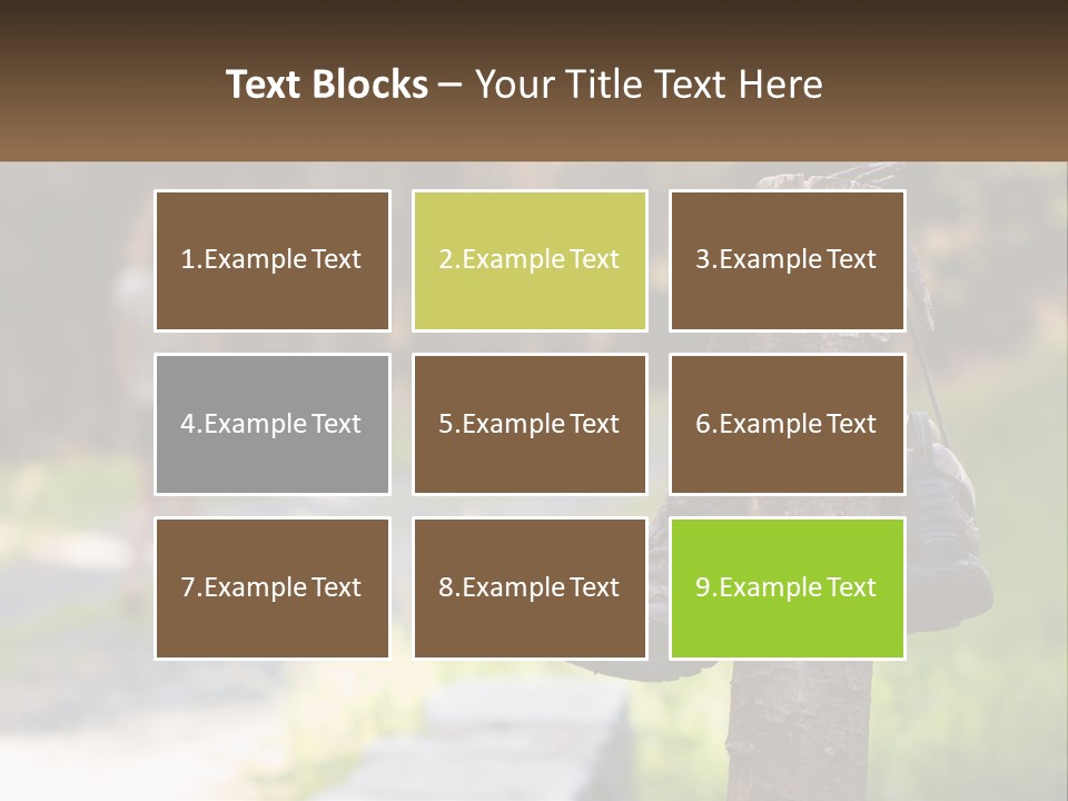 A Pair Of Shoes Hanging From A Tree Trunk PowerPoint Template