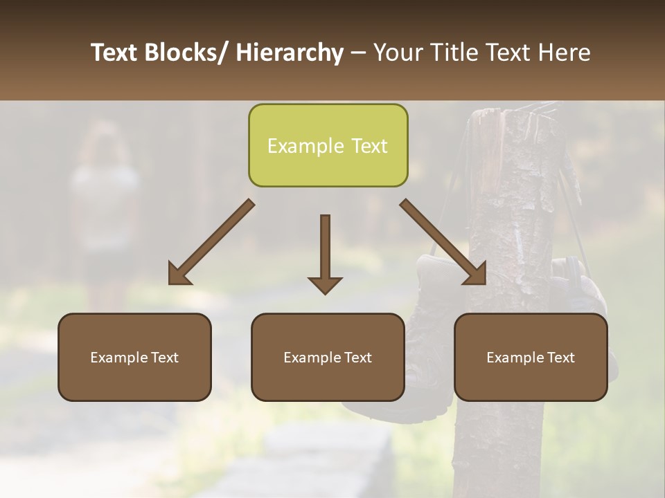 A Pair Of Shoes Hanging From A Tree Trunk PowerPoint Template