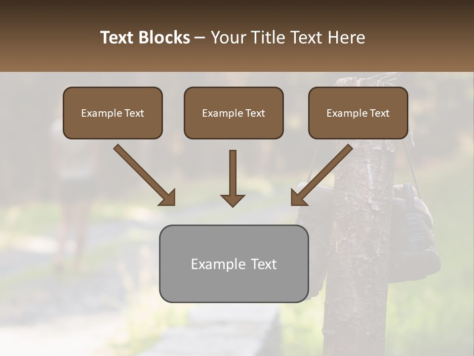 A Pair Of Shoes Hanging From A Tree Trunk PowerPoint Template