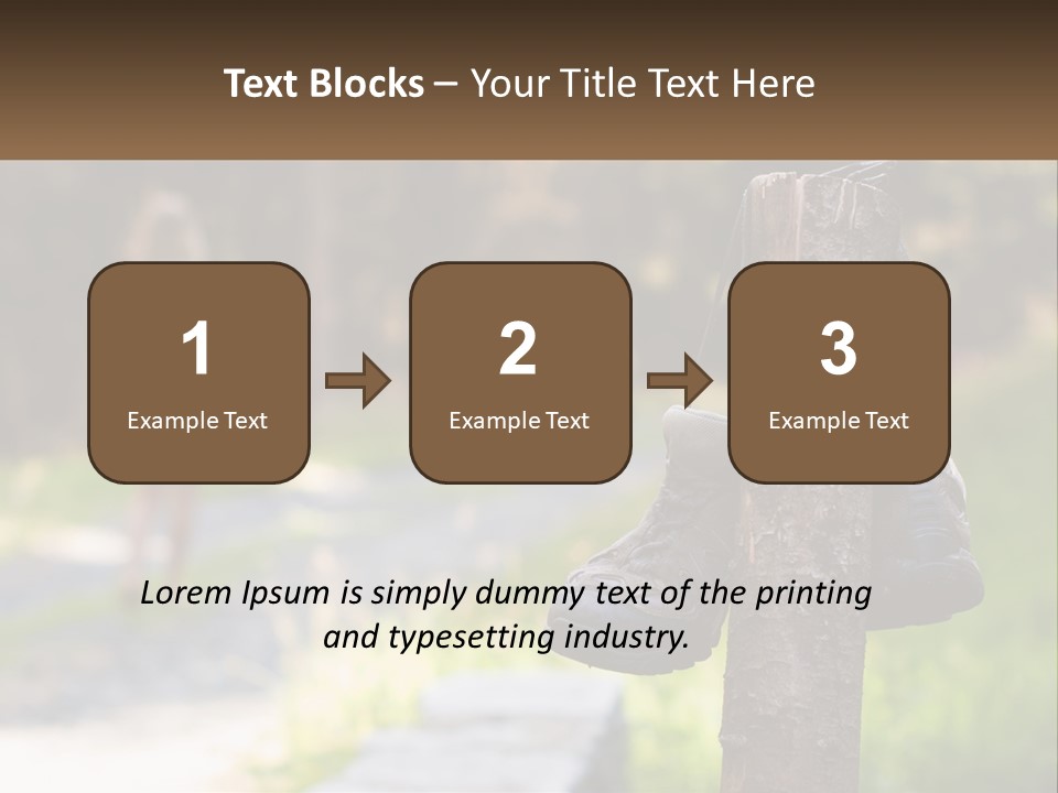 A Pair Of Shoes Hanging From A Tree Trunk PowerPoint Template