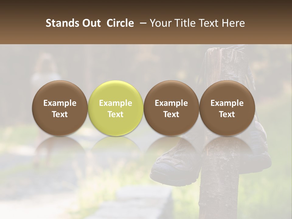 A Pair Of Shoes Hanging From A Tree Trunk PowerPoint Template