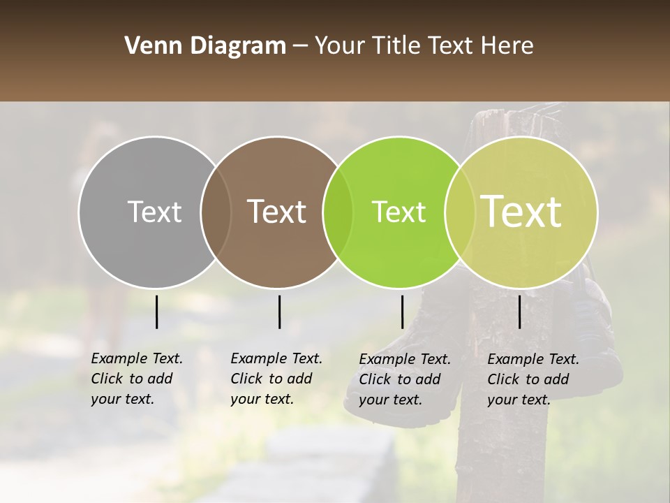 A Pair Of Shoes Hanging From A Tree Trunk PowerPoint Template