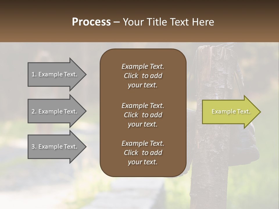A Pair Of Shoes Hanging From A Tree Trunk PowerPoint Template
