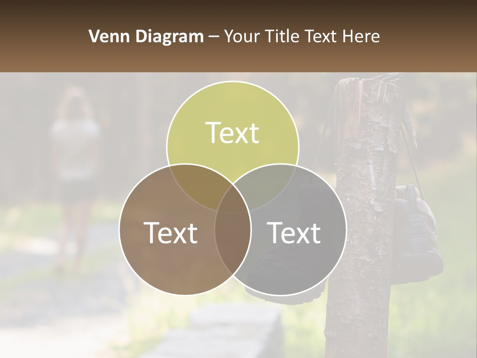 A Pair Of Shoes Hanging From A Tree Trunk PowerPoint Template