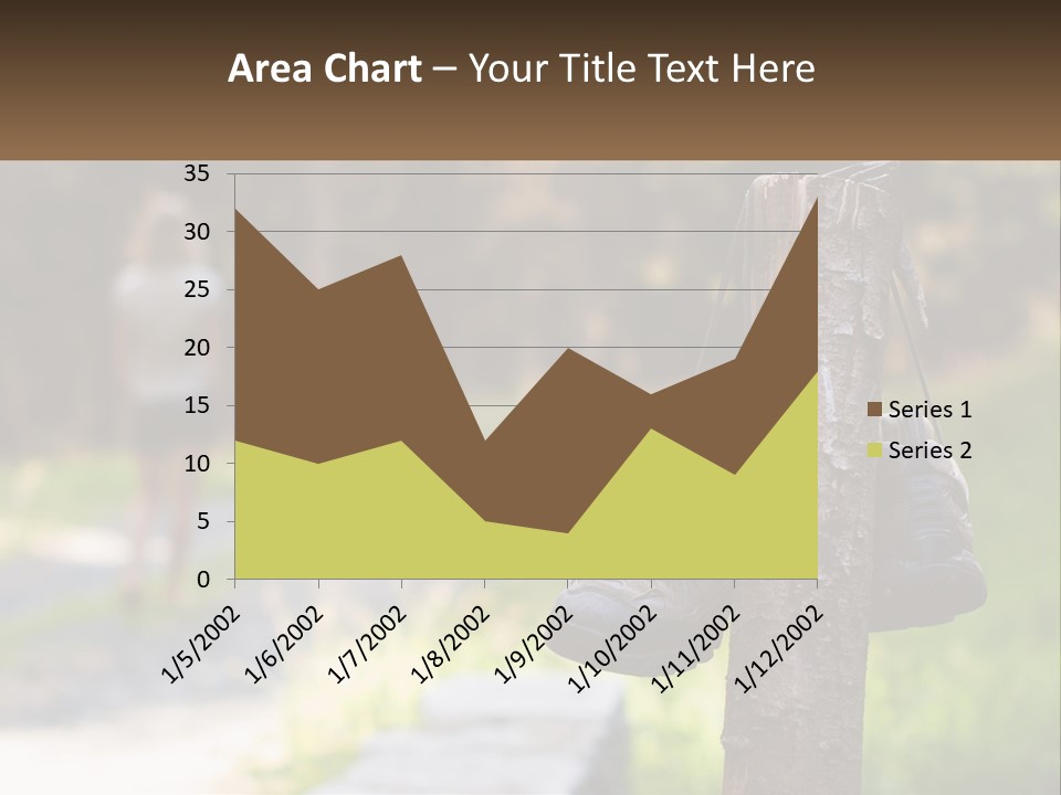 A Pair Of Shoes Hanging From A Tree Trunk PowerPoint Template