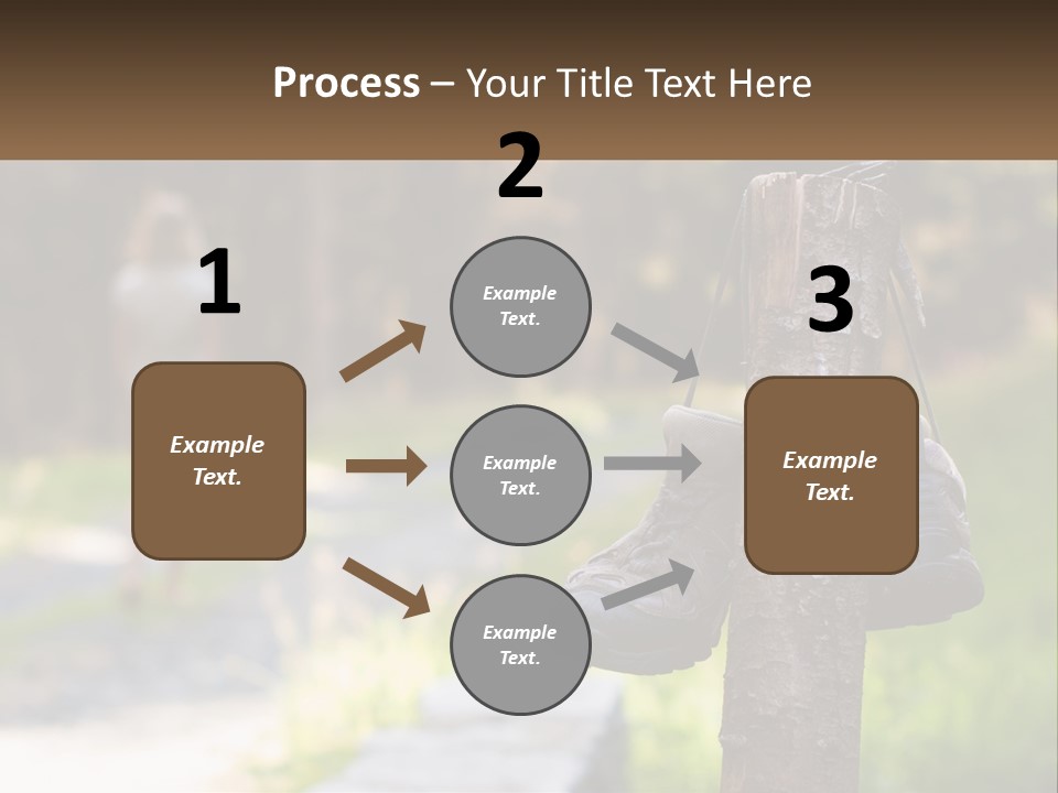 A Pair Of Shoes Hanging From A Tree Trunk PowerPoint Template