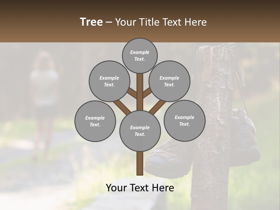 A Pair Of Shoes Hanging From A Tree Trunk PowerPoint Template