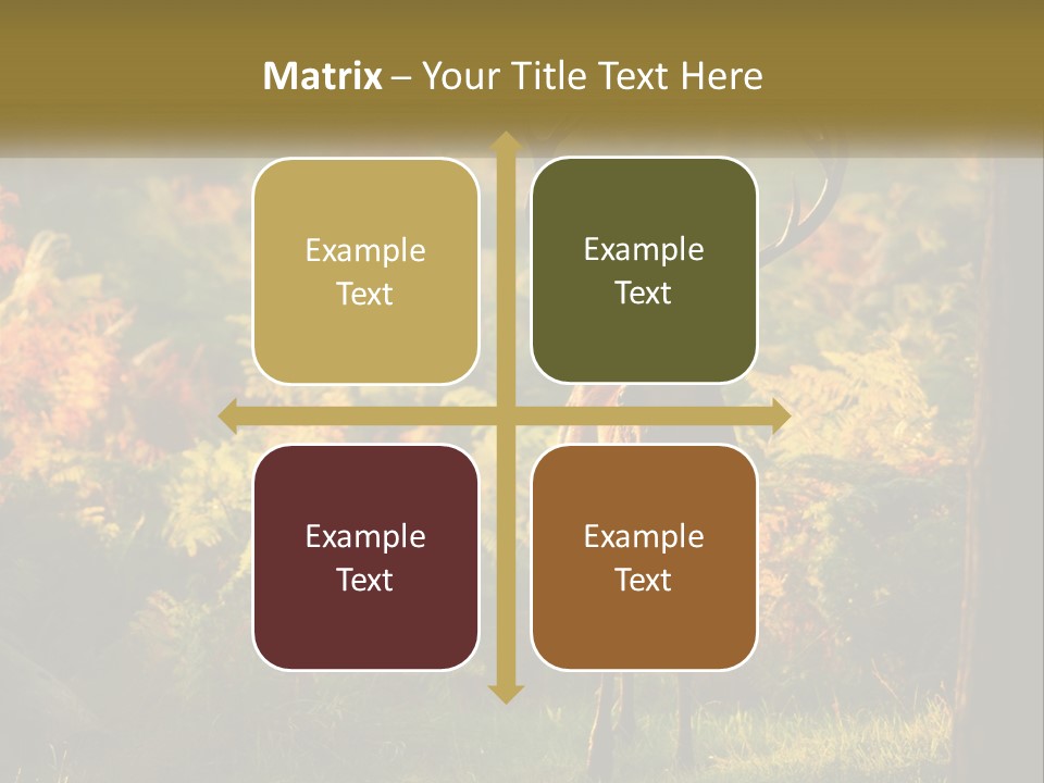 A Deer Standing In The Middle Of A Forest PowerPoint Template