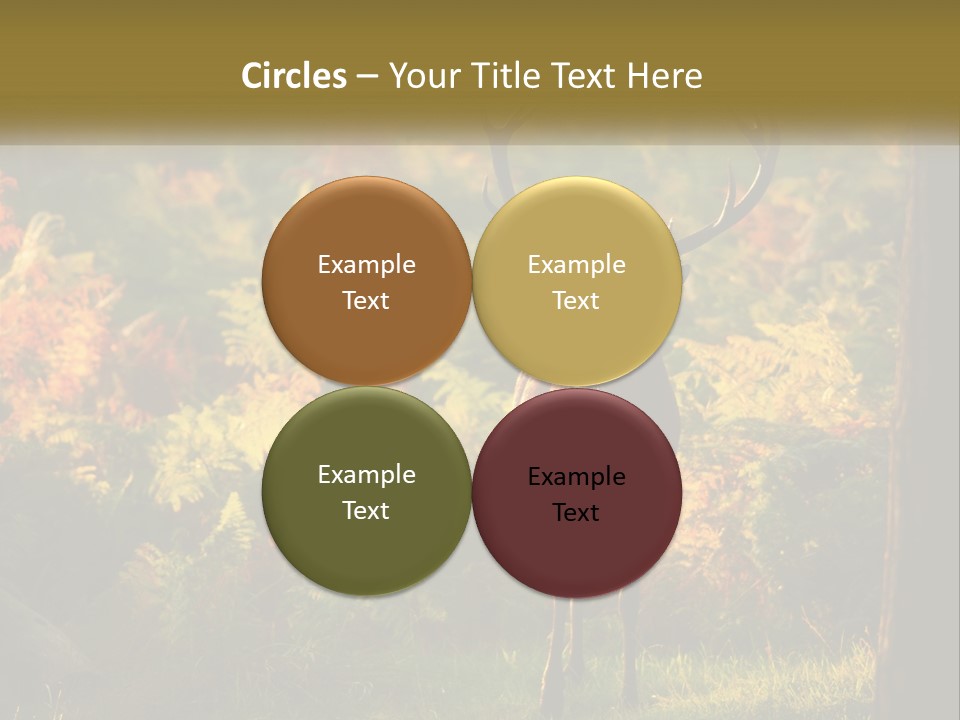 A Deer Standing In The Middle Of A Forest PowerPoint Template